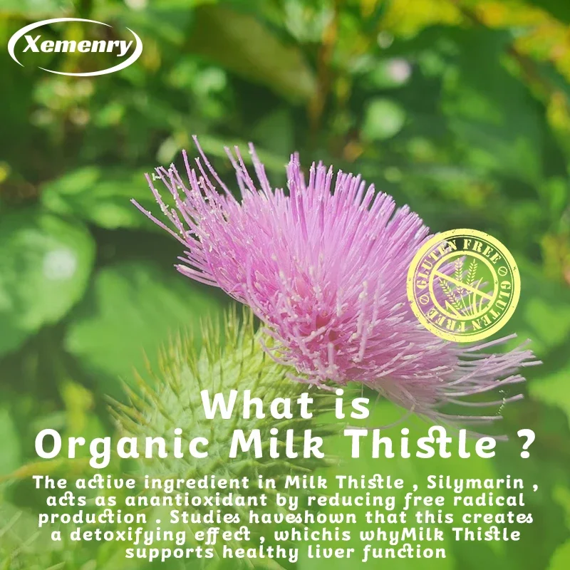 Milk Thistle Capsules 1000mg - - Milk Thistle Silymarin recension och pris
