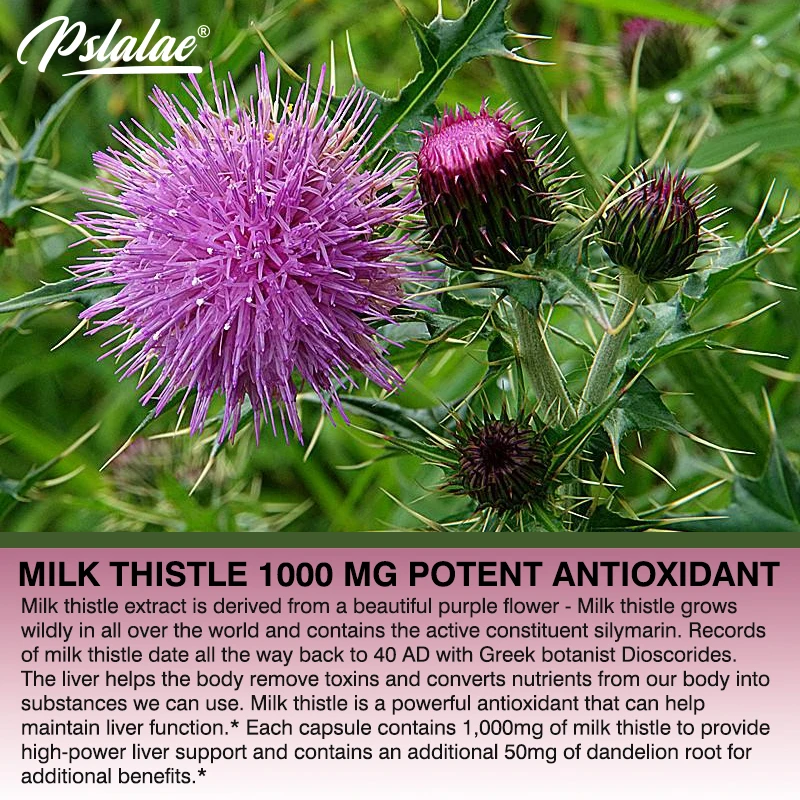 Natural Milk Thistle Supplemen - Milk Thistle Silymarin recension och pris