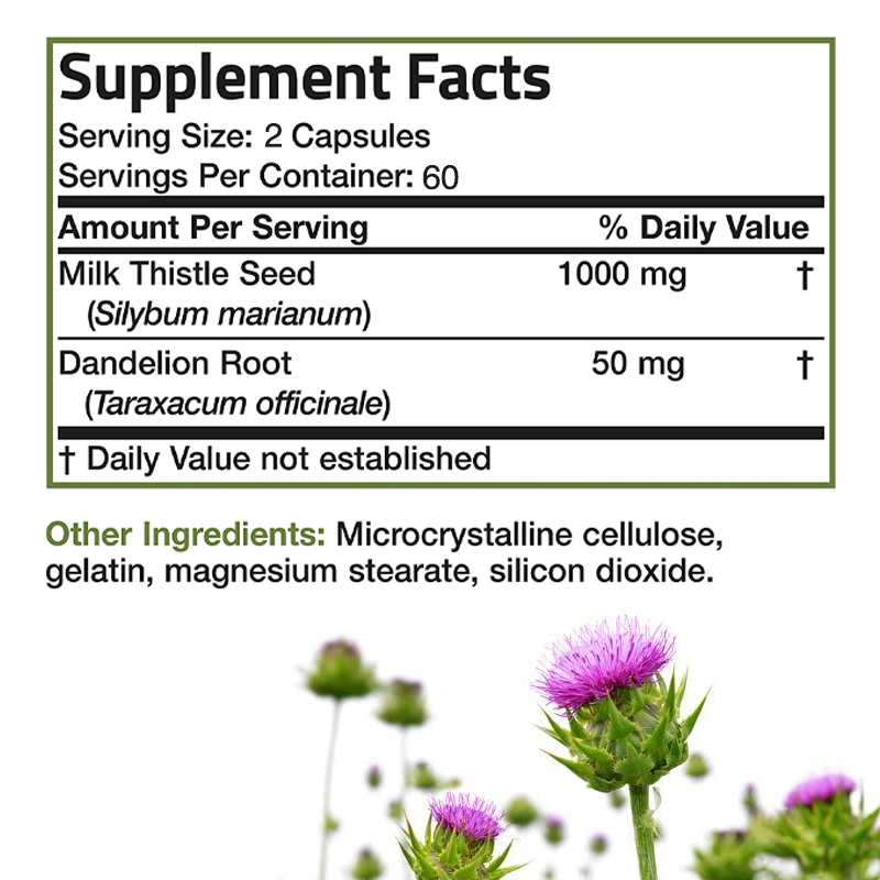 Premium Milk Thistle Supplemen - Milk Thistle Silymarin recension och pris