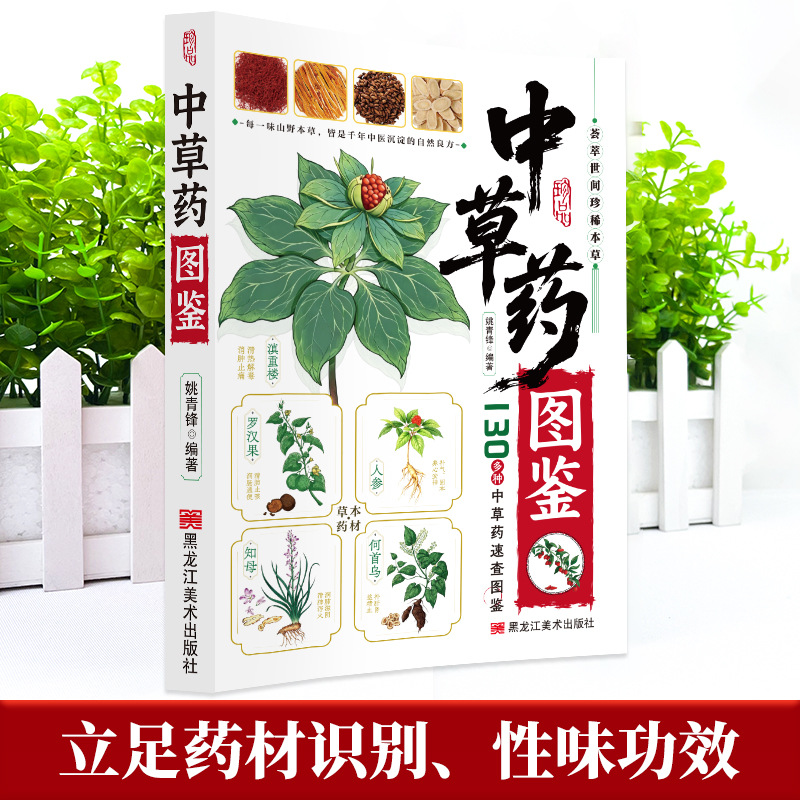 Illustrated Guide  Chinese Her - Herbal Holistic Wellness recension och pris