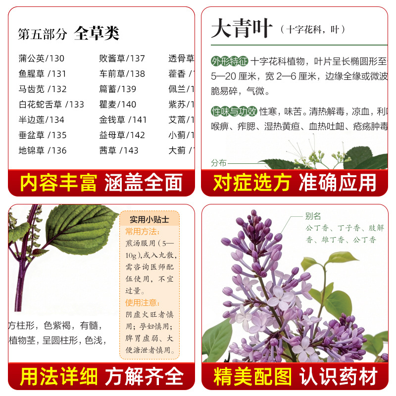 Illustrated Guide  Chinese Her - Herbal Holistic Wellness recension och pris